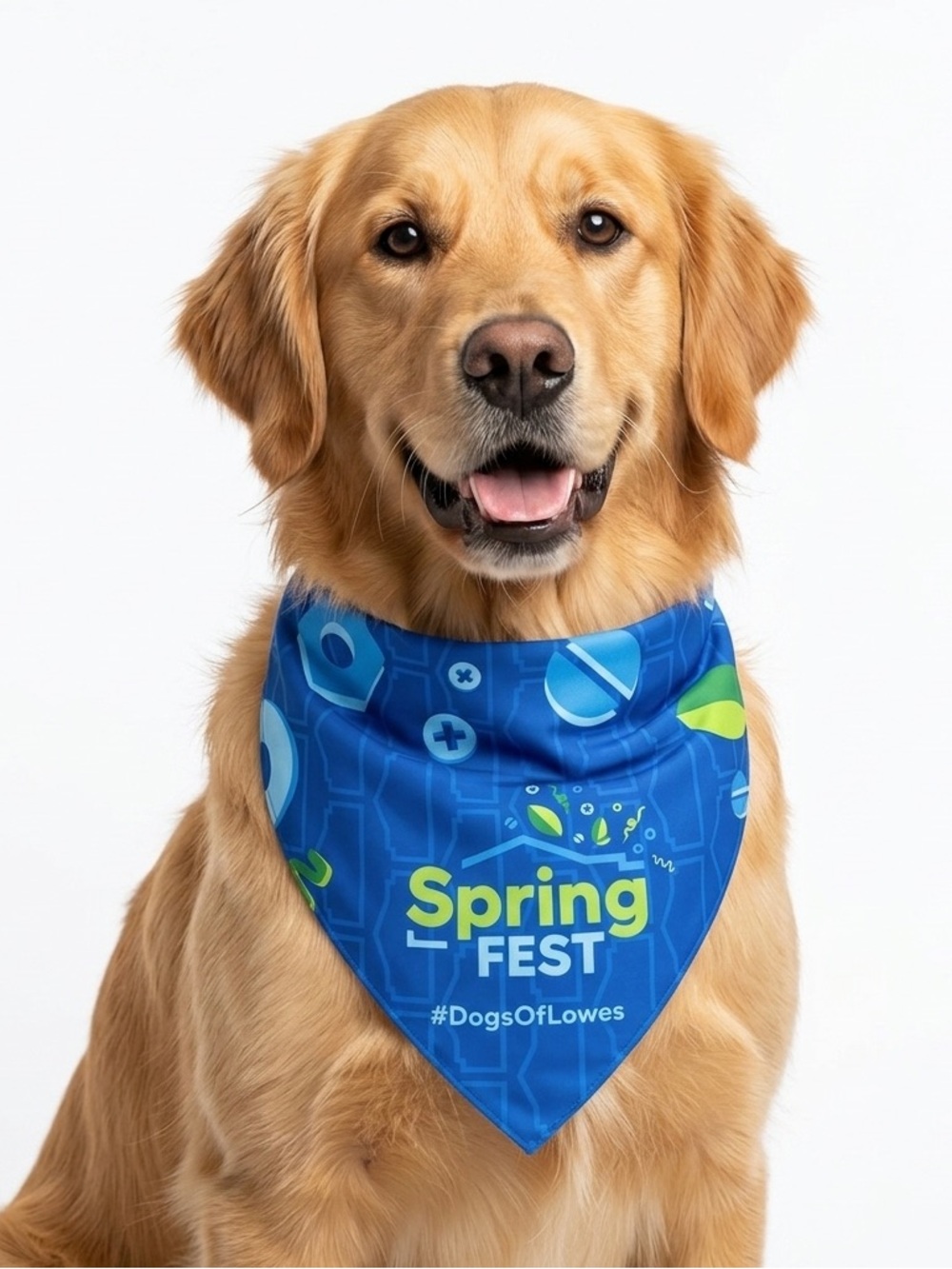 🌟4x Host Pick🌟Spring Fest Dog Bandanna